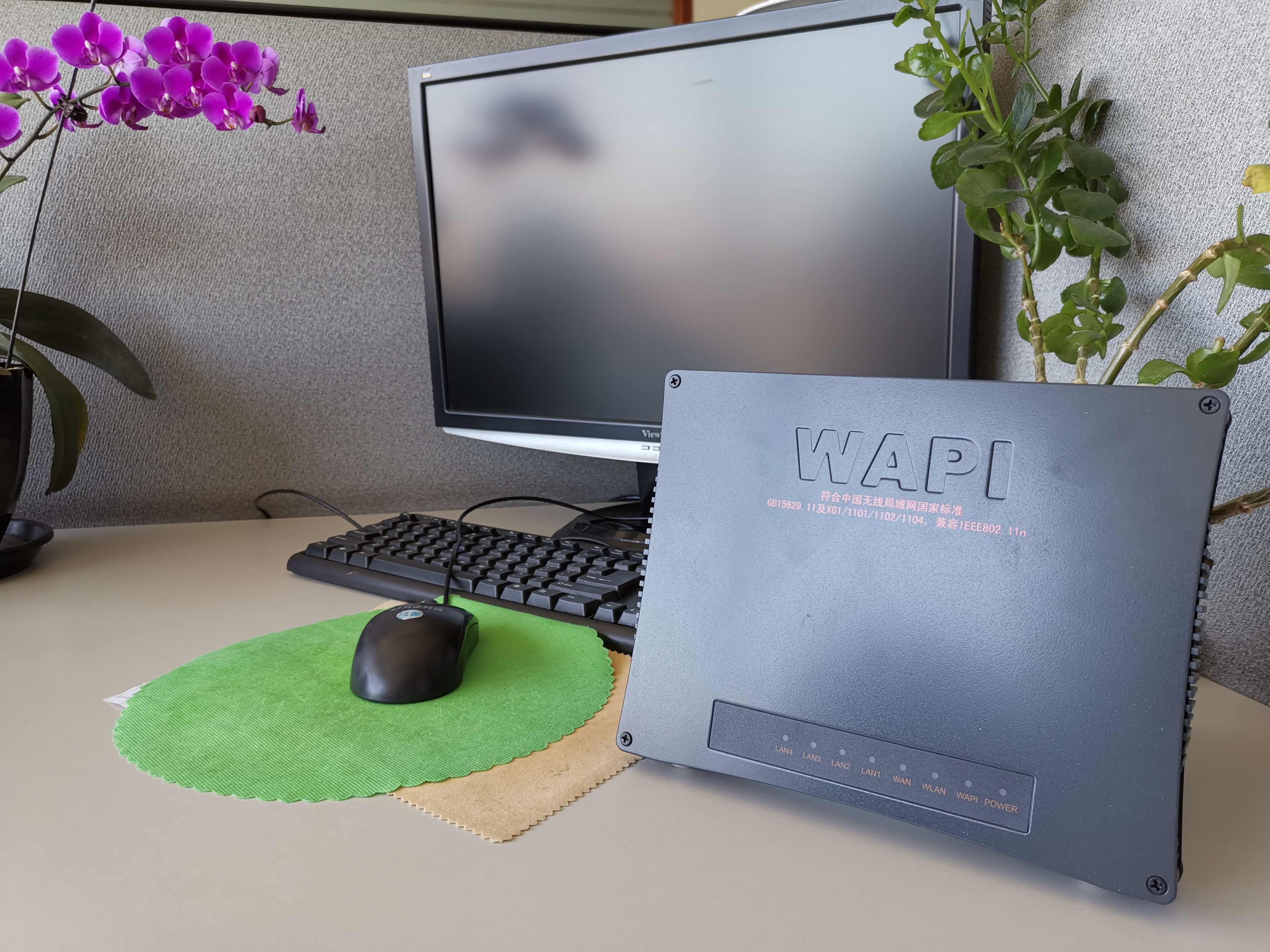 wapi到底是什么,什么是wapi