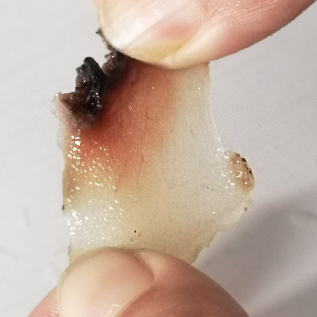 鹿茸片真假的鉴别,真的鹿茸片和假的鹿茸片怎么区分