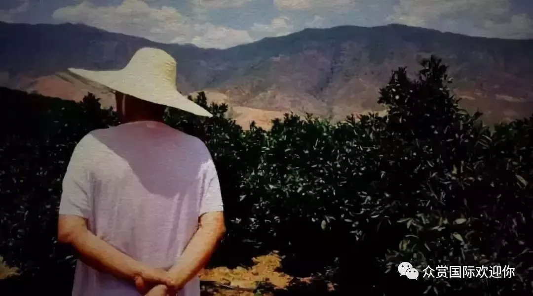 褚时健的人生总有起落,褚时健人生终有起落