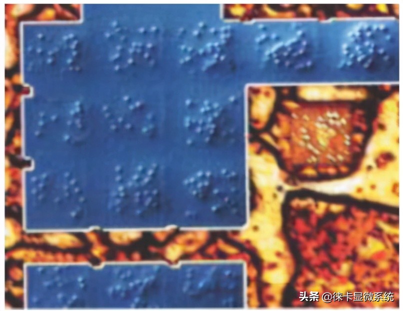 徕卡半导体显微镜,徕卡扫描电子显微镜