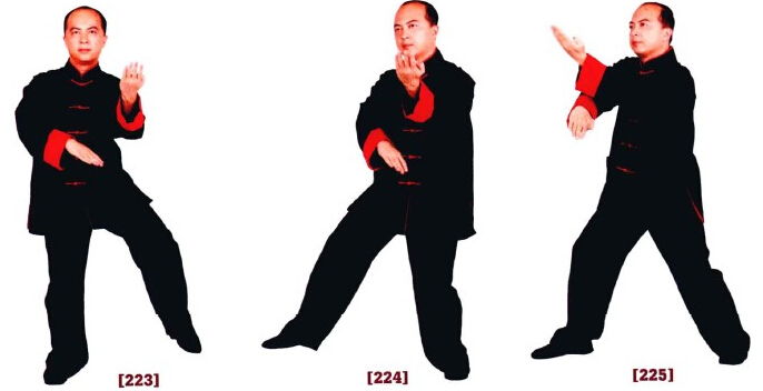 咏春拳入门十二散手,咏春拳标指教学视频