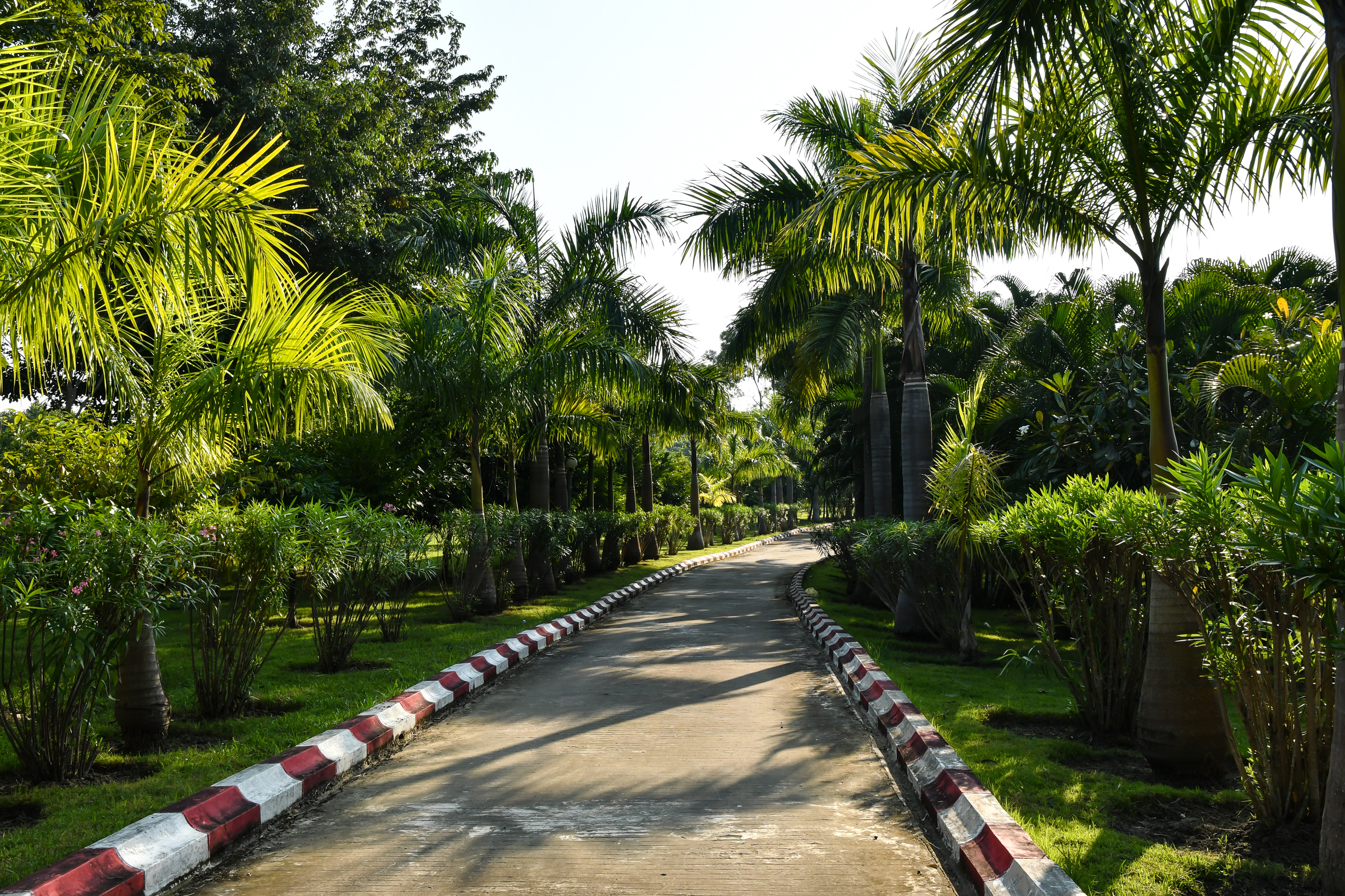 最荒凉的首都：耗资40亿美金建设，街上空荡荡如同“鬼城”