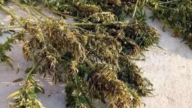 读史三字经,读史明事三字经全文