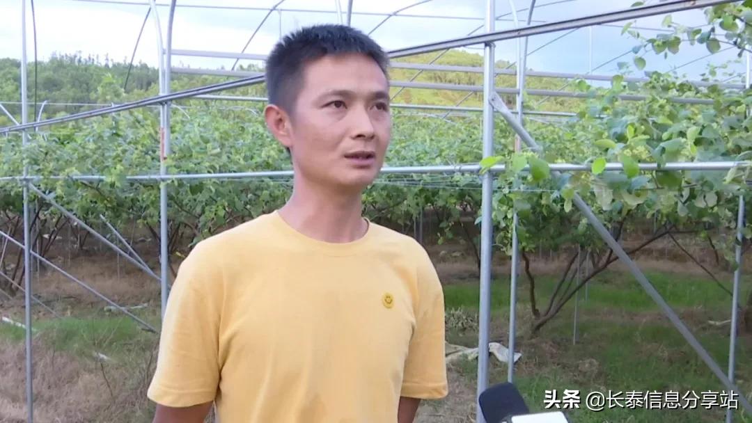 质量兴农绿色兴农工作成效,质量兴农绿色兴农的战略目标