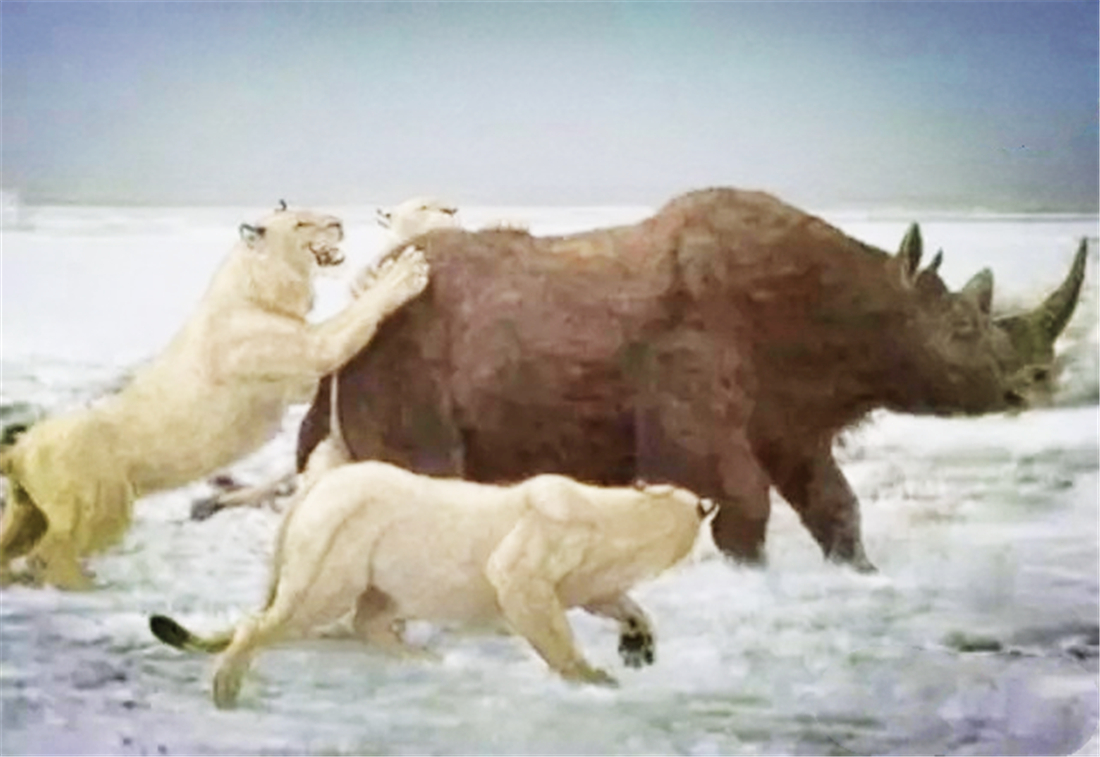 残暴狮母狮,残暴狮打得过原始狮吗