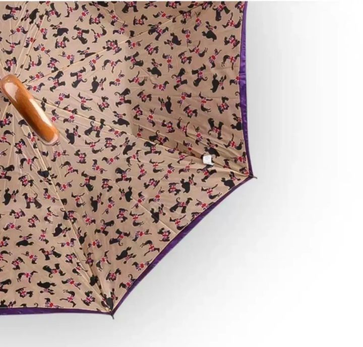 伞小众雨伞,雨伞高颜值ins长柄伞