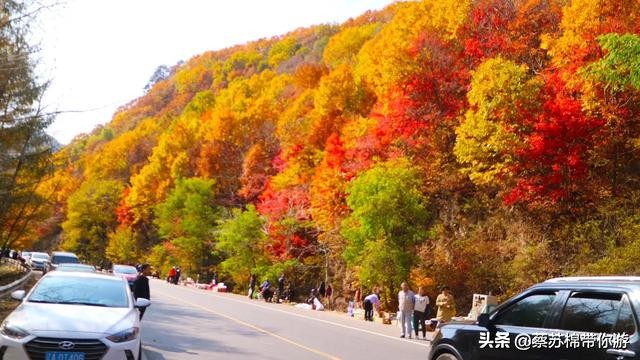 本溪赏枫攻略,本溪赏枫景区