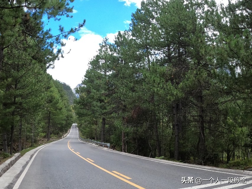 茂名骑行*藏西**：然乌到波密，松林间骑行是一种享受