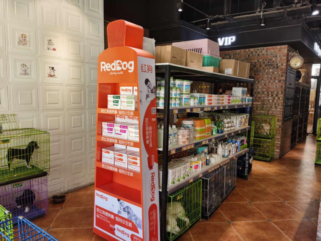 北京月流水超百万的猫狗活体专卖店，都有啥套路？