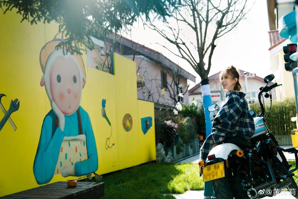 城市版的李子柒,李子柒真实的豪宅变化