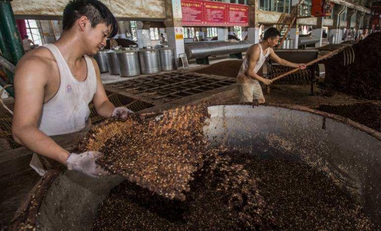 酿酒的利润和成功率,工艺酿酒的前景