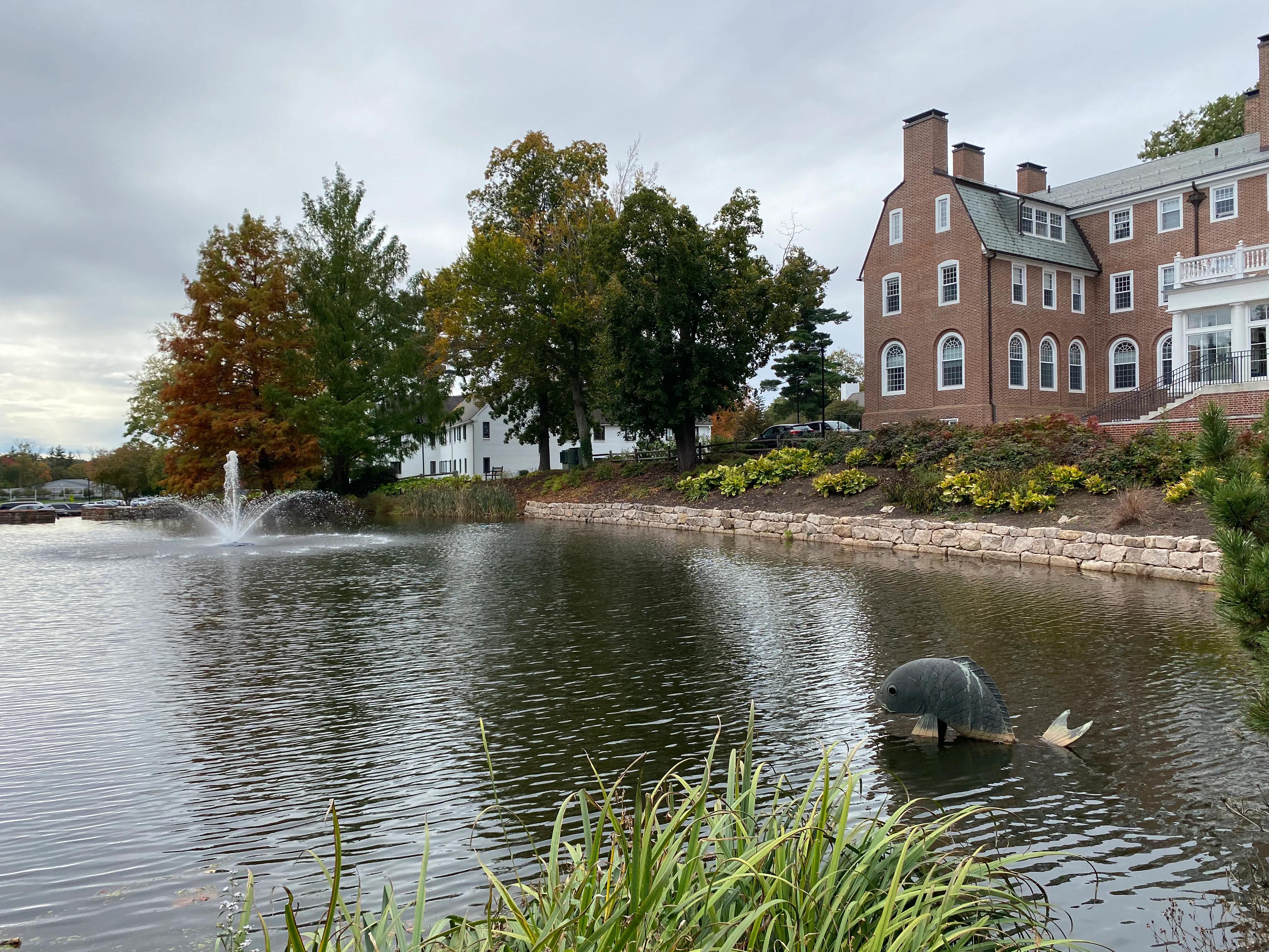 股市炒股成功的十大秘诀,如何在股市中自己炒股