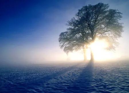 道德经二十二精解及译文,道德经八十章全文及译文