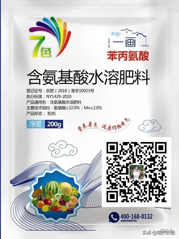 践行绿水青山就是金山银山,践行绿水青山就是金山银山的案例