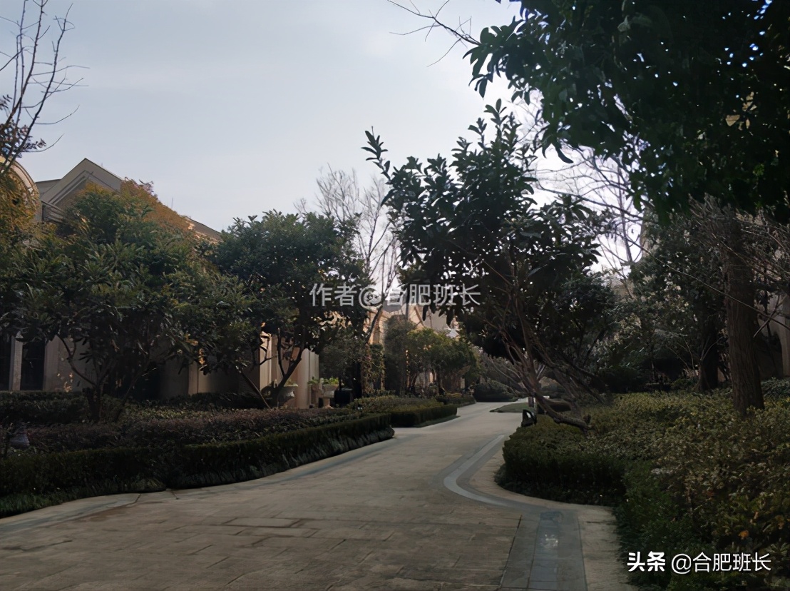 可以传世的房子格局,合肥汤臣一品海景房