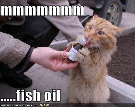 鱼油:到底值不值得你花钱?