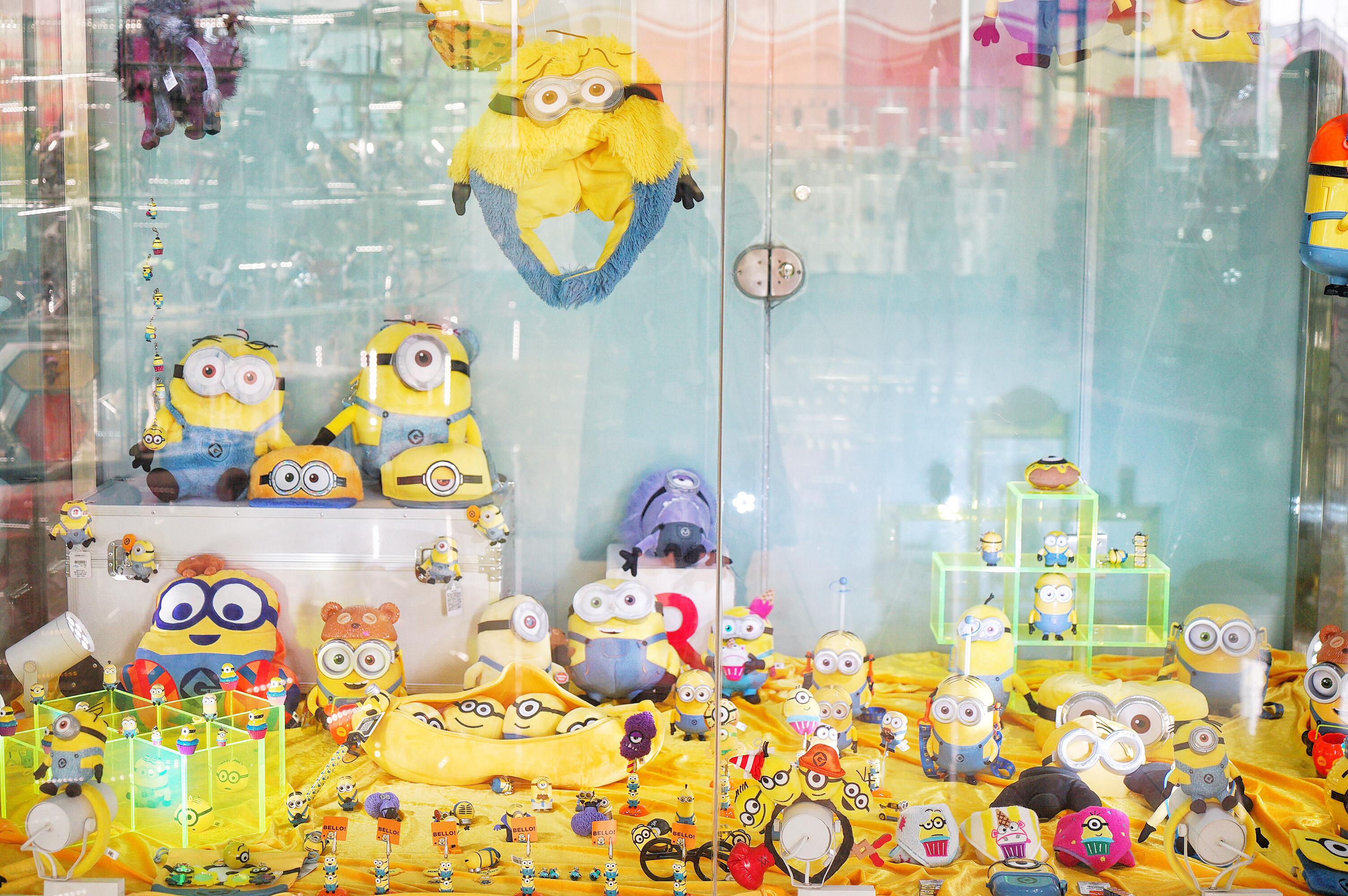 广州粉色浪漫花海,广东秋天粉色花海