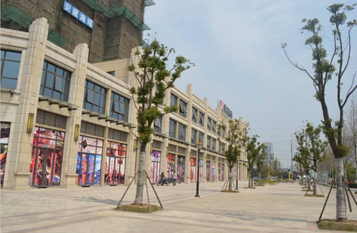 未来商铺的投资机会,商铺的潜力价值与红利