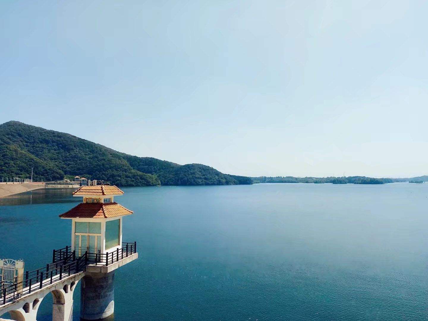 信阳买房买二手还是新房,信阳哪个区买房合适