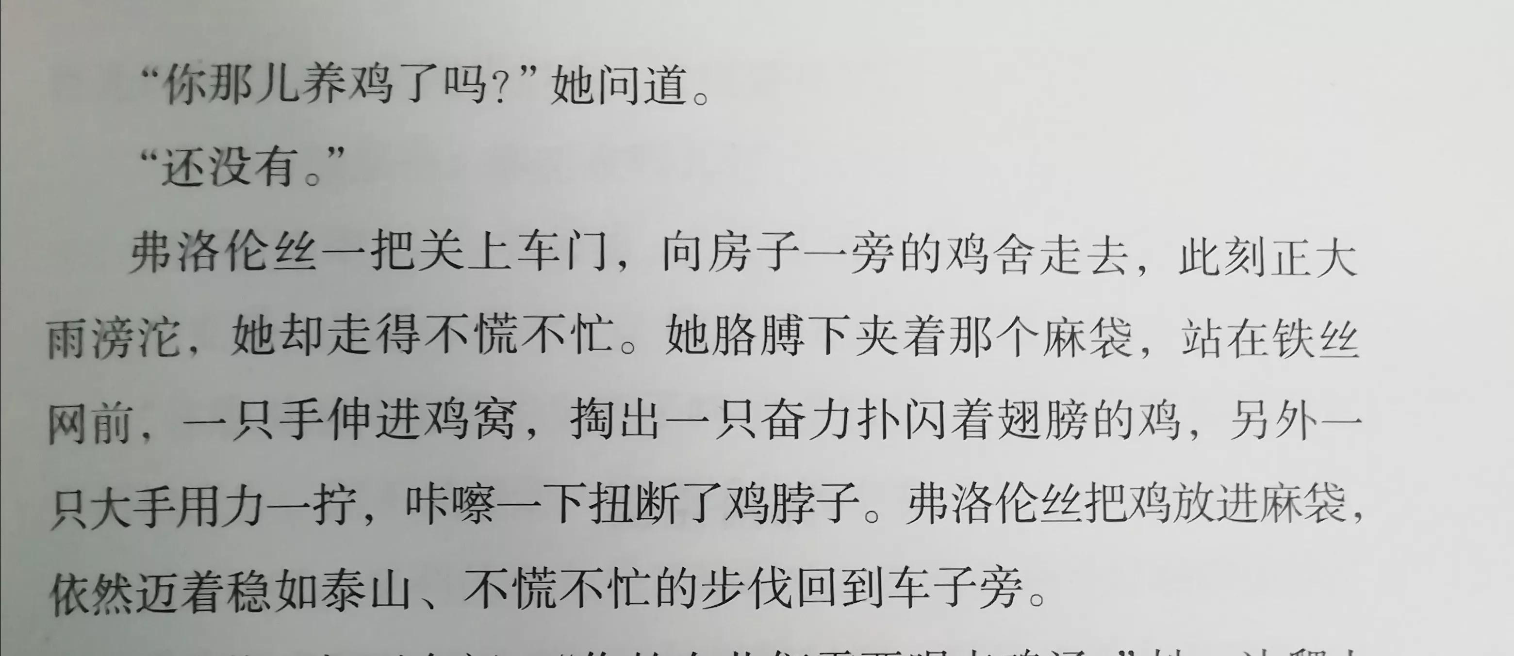 「美」希拉莉•乔顿《泥土之界》