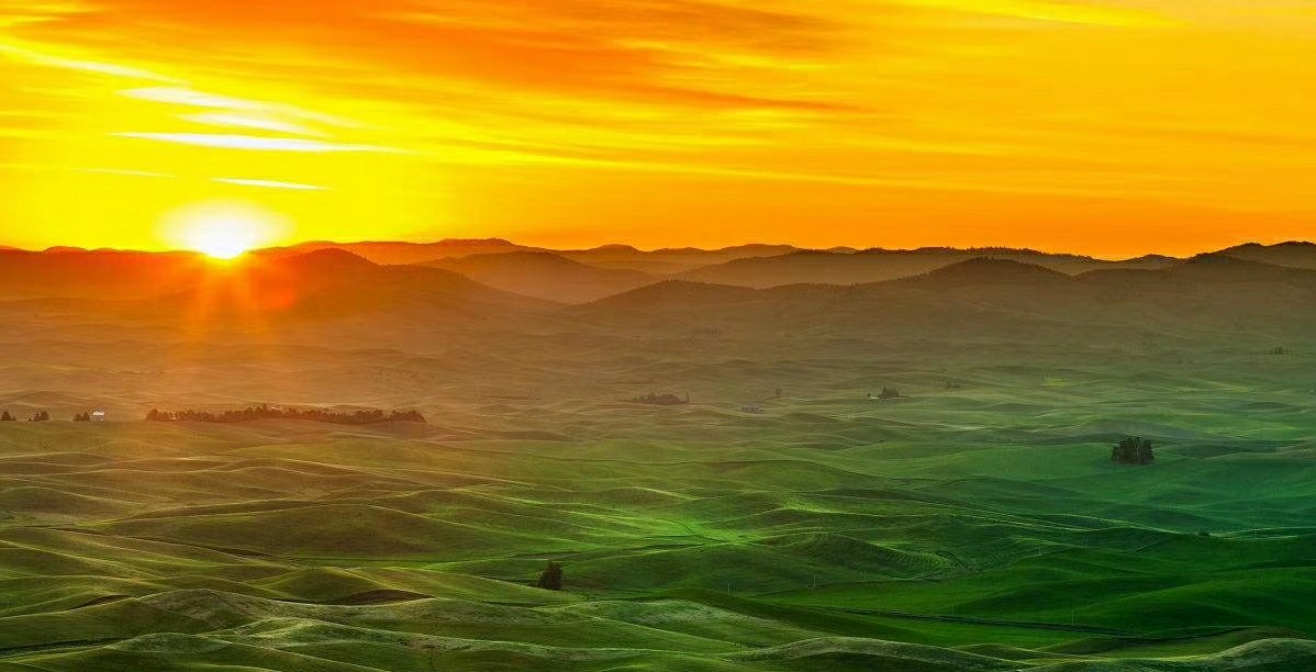 重生记50-100,重生记第四集