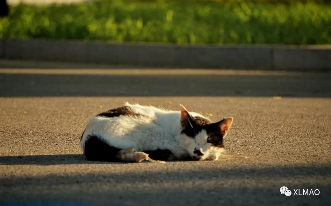摄影爱好者的拍摄题材,一名业余摄影爱好者的简介