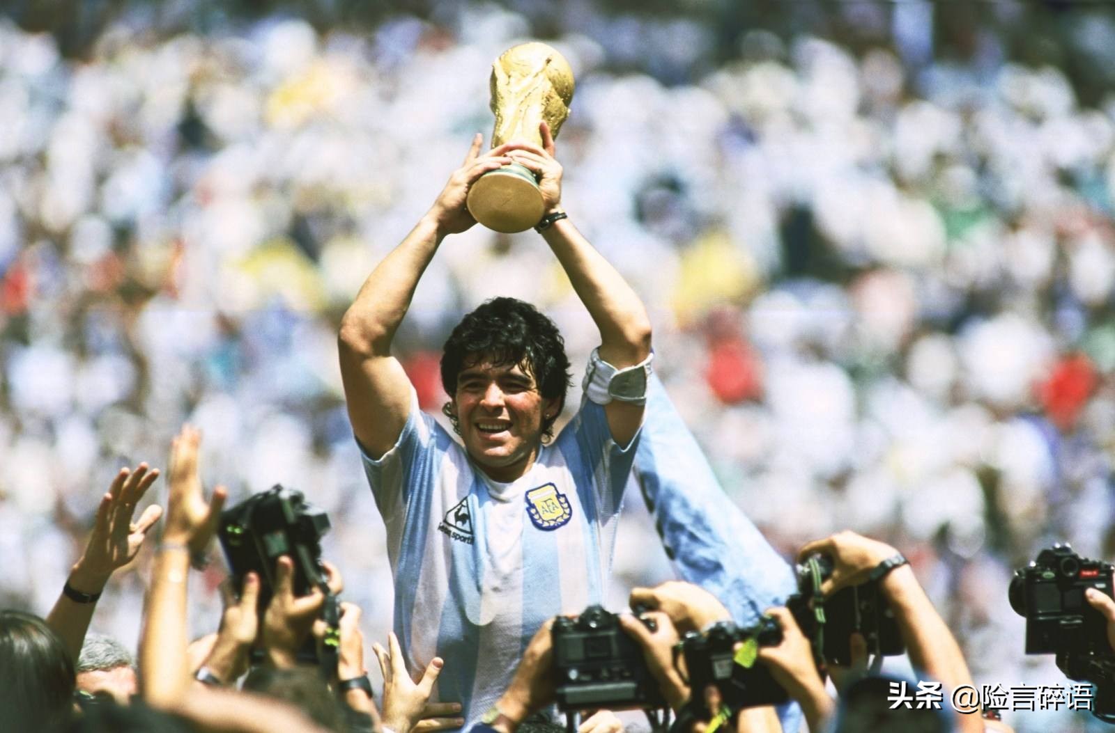 闲言碎语,险言碎语74集