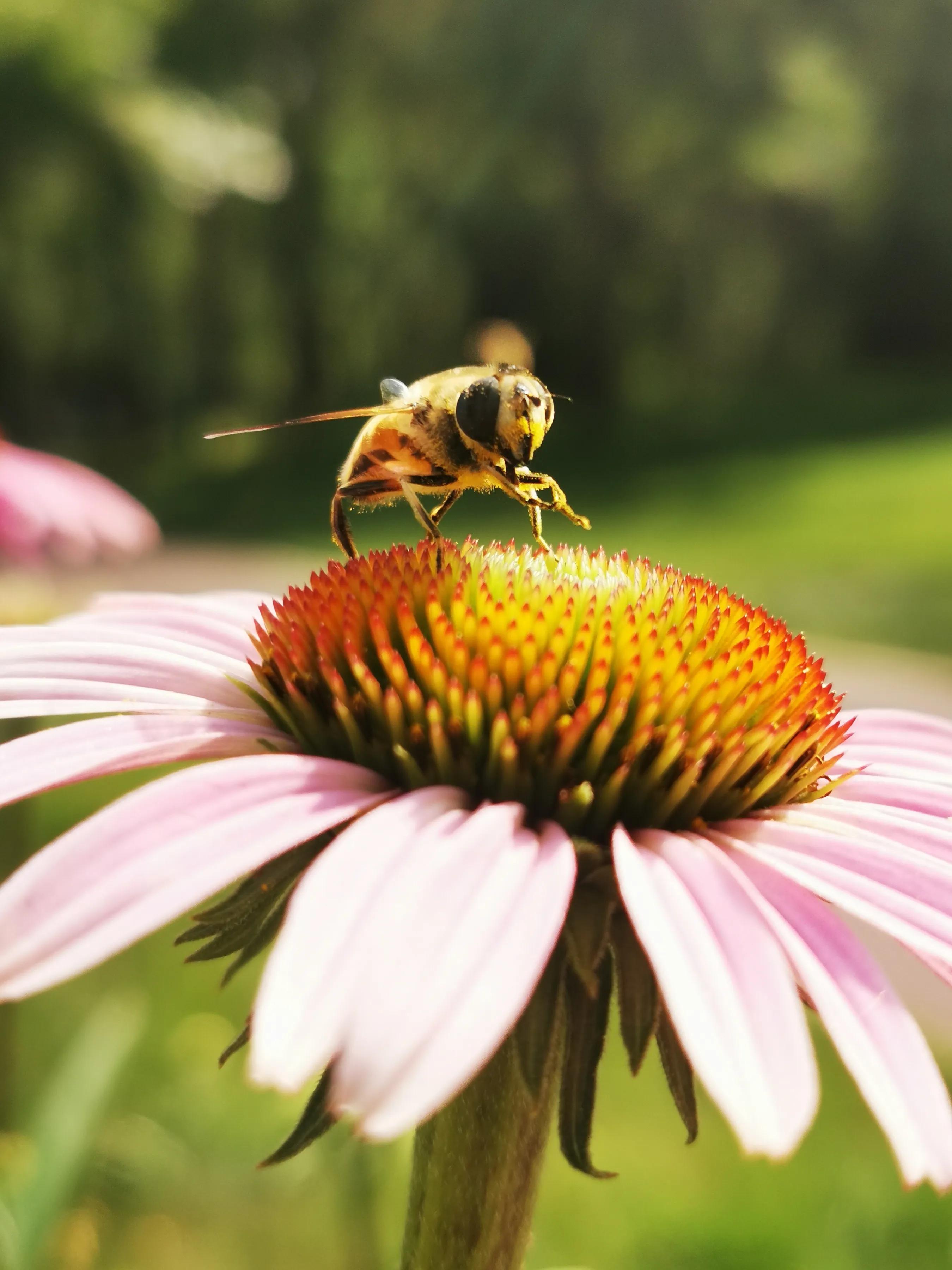 手拍世界作品集402期,2022年世界手机摄影大赛征稿