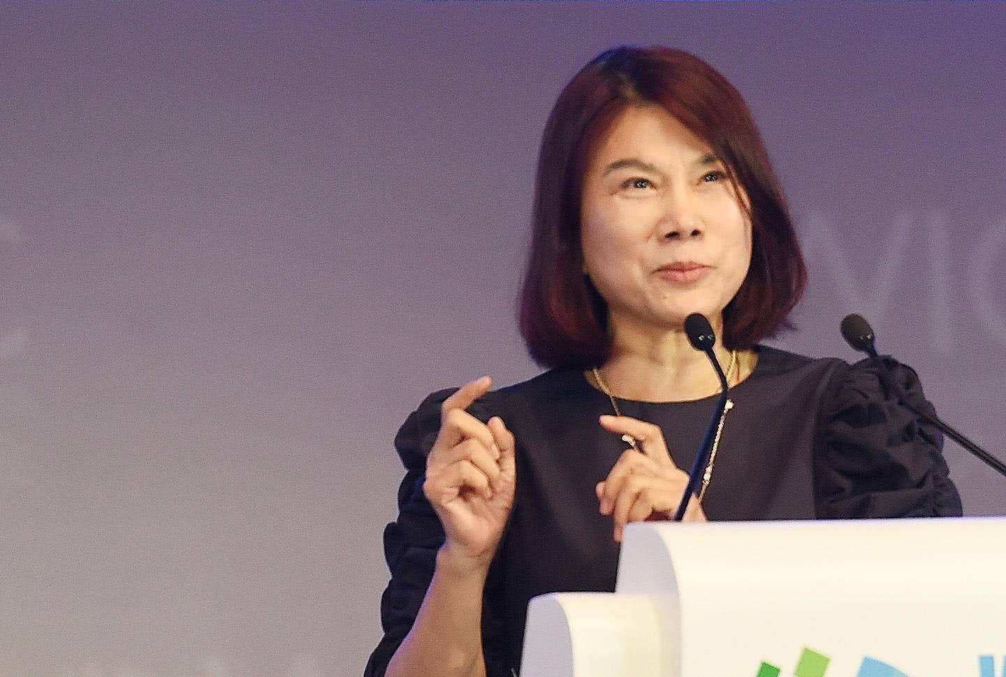 董明珠造车成功视频完整版,董明珠银隆汽车最新消息