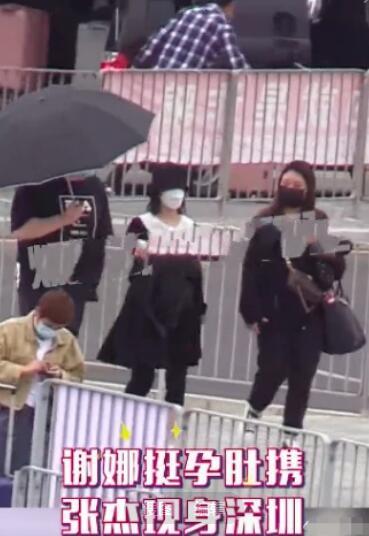 跳跳俏俏被逗到大笑,跳跳俏俏捣乱趣事