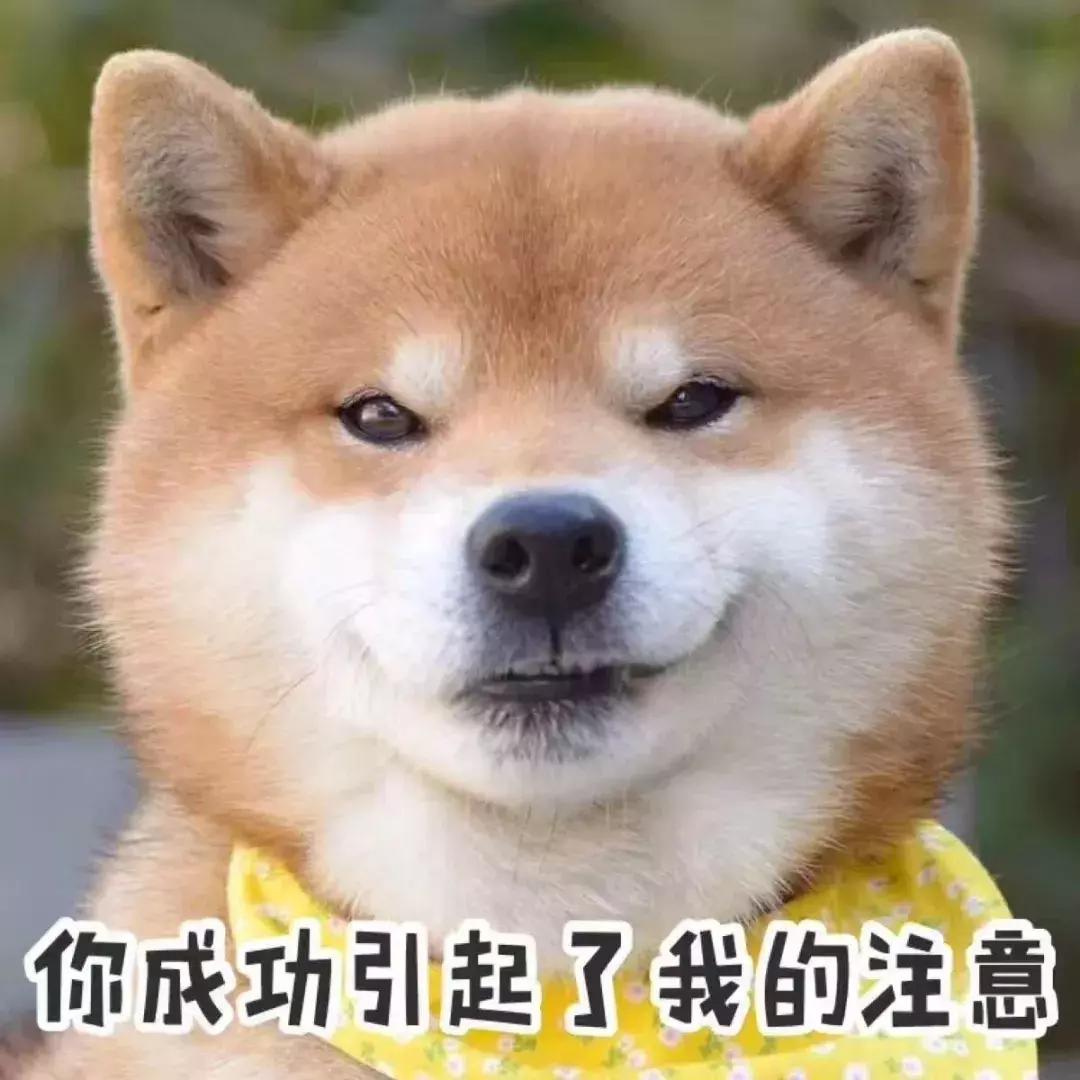 2023年信阳市平均工资,信阳最低工资平均工资