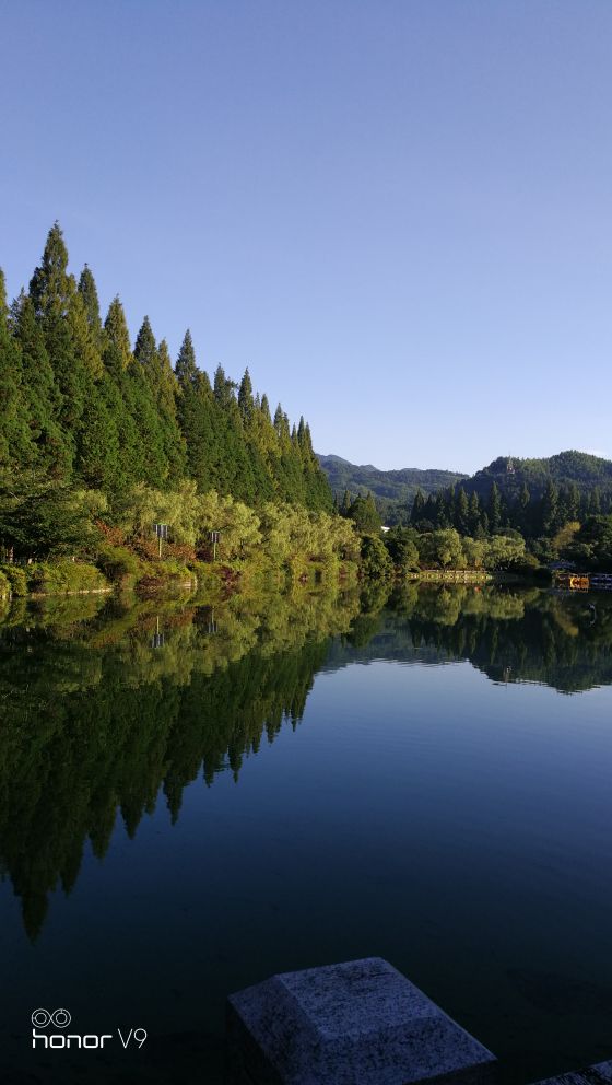 献给医生的赞歌朗诵,中国医学科学院肿瘤医院桓兴分院