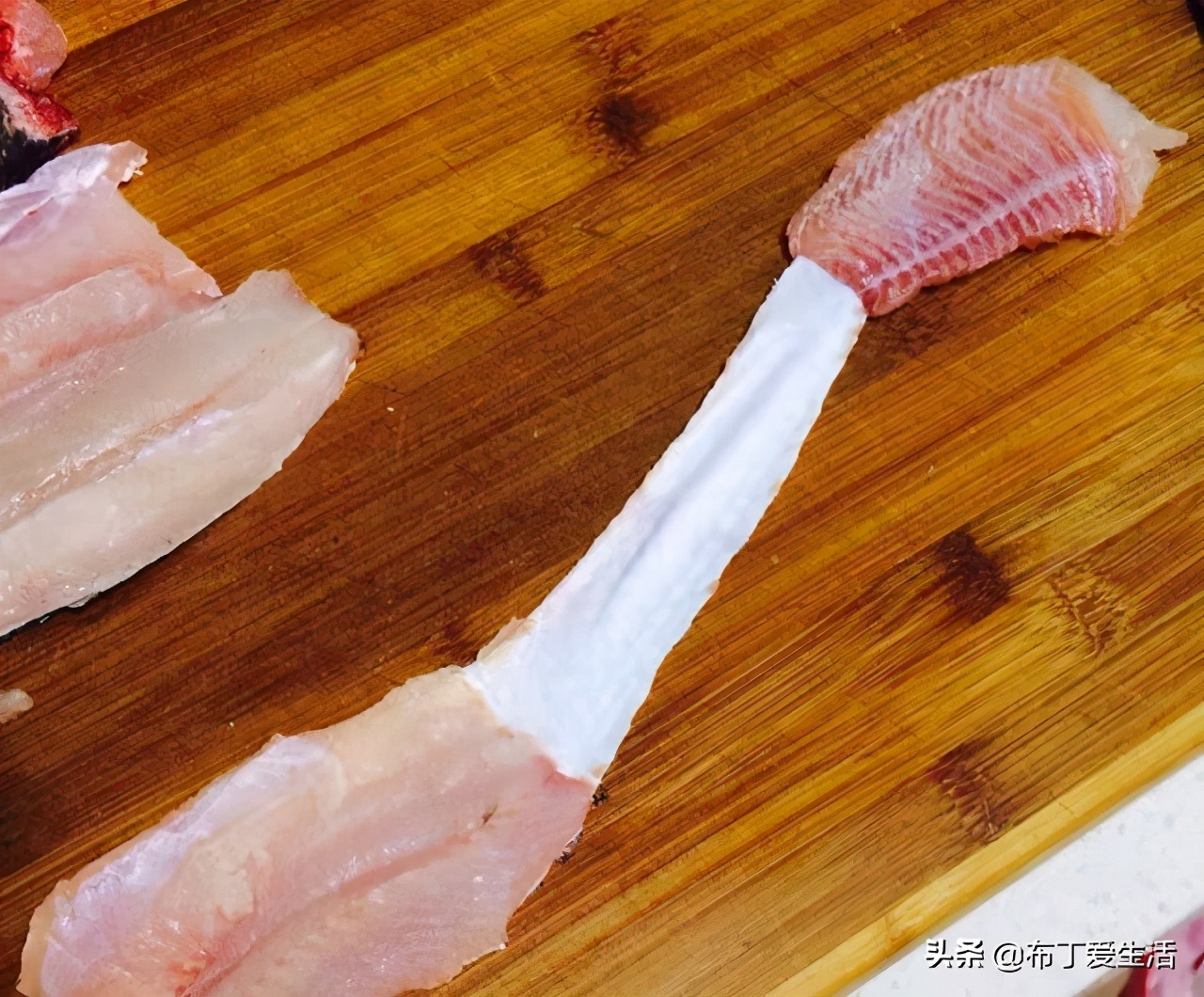 黑鱼如何切片教程,黑鱼怎样切片视频教程