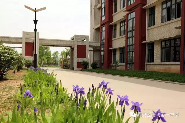 交大附中雁塔校区初中部招多少人,交大附中高中部招多少孩子