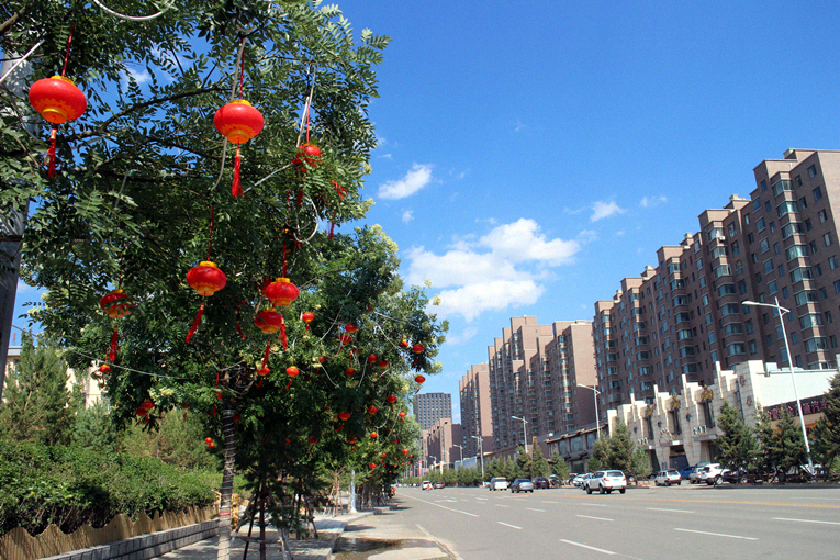 城市园林绿化提升工作,新城区市政园林绿化工程