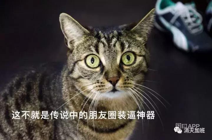 6款好用不火的app,7大app推荐