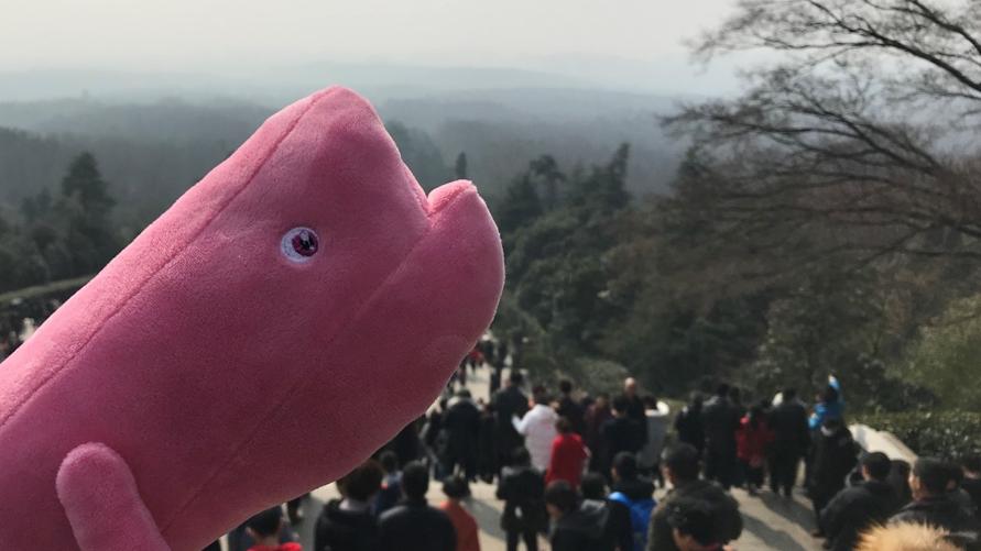 阅读的温度像春天一样,阅读的温度有话说