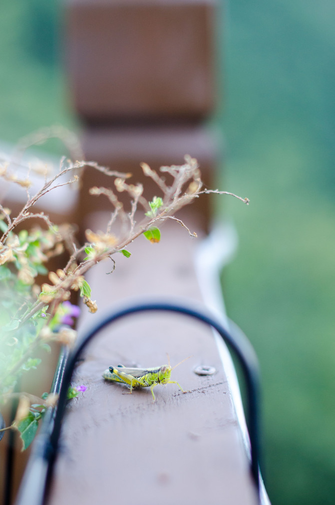 仙气缭绕的南岳衡山,人间仙境南岳衡山