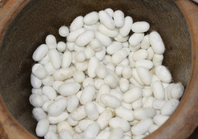 桑蚕丝布料中的姆米是什么意思,桑蚕丝中的姆米是什么意思