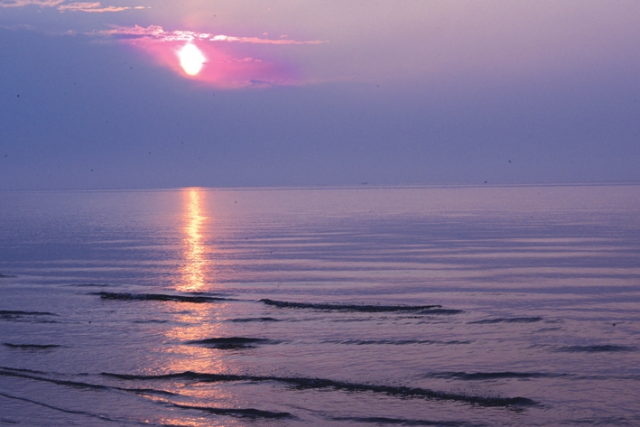 北京疫情今天降级了吗,北京市疫情降级了吗