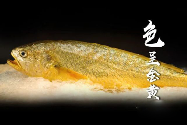 回乡创业4年开办养殖场,返乡农民工创业养鱼致富