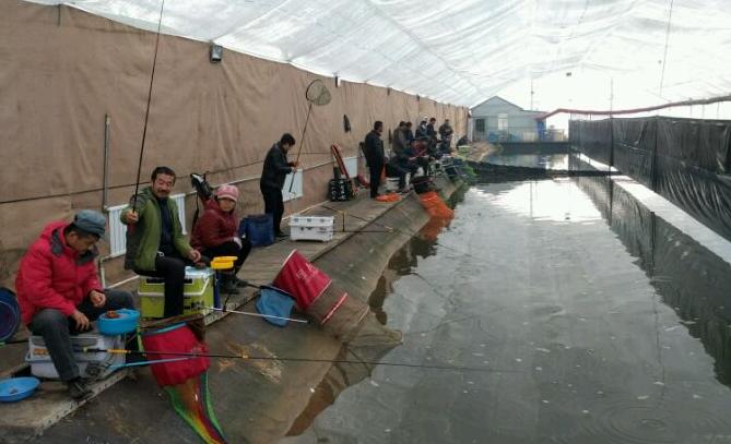 钓友家里有多少渔具,钓友家中渔具收纳