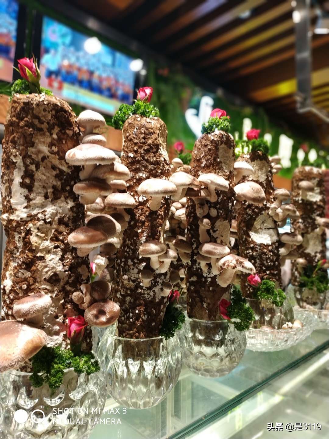 地瓜老火锅怎么样,地瓜老火锅简介