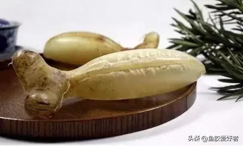 花胶涨发的正确方法,花胶的种类及区别