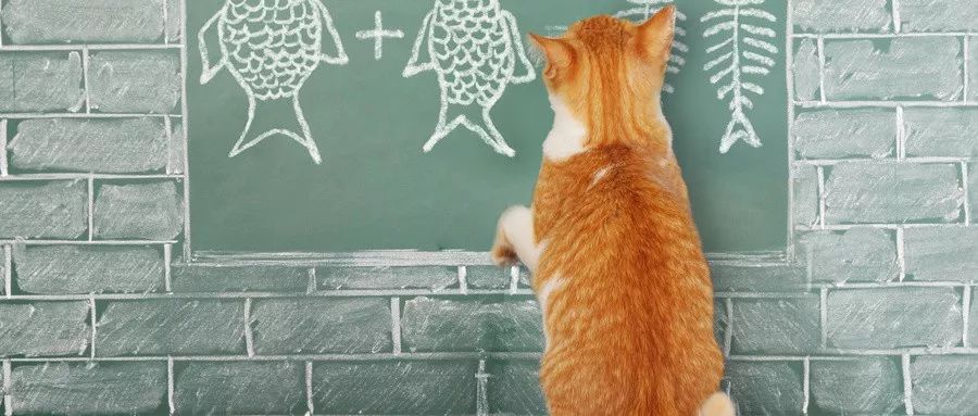 坤鹏论：巴菲特说的小学数学水平是加减乘除大部分投资者只读数