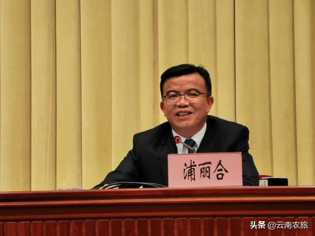 云南名贵特产排名前十名,云南十佳茗品