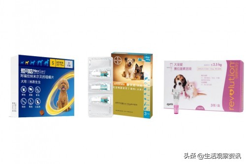 超可信、爱沃克、大宠爱测评狗狗驱虫药到底选哪个？