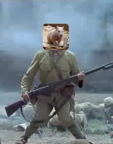 o型腿怎么拯救,o型腿不要做哪些动作