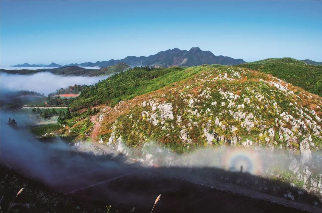 鑼楄竟璇磋尪,鑼楄竟