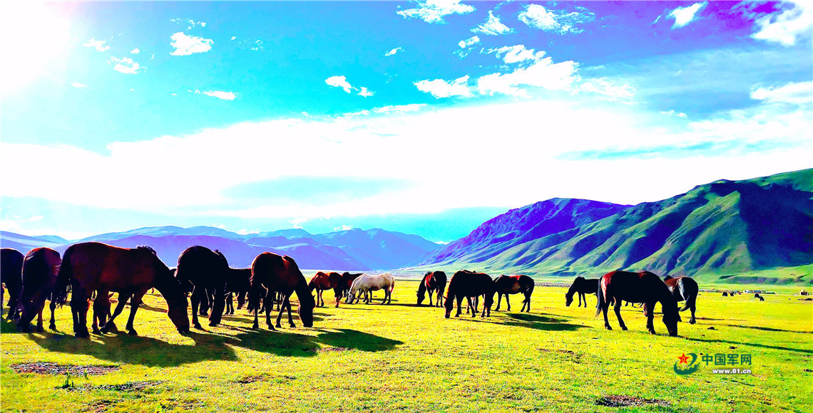 雪山见证，这是草原九班的“牧马青春”